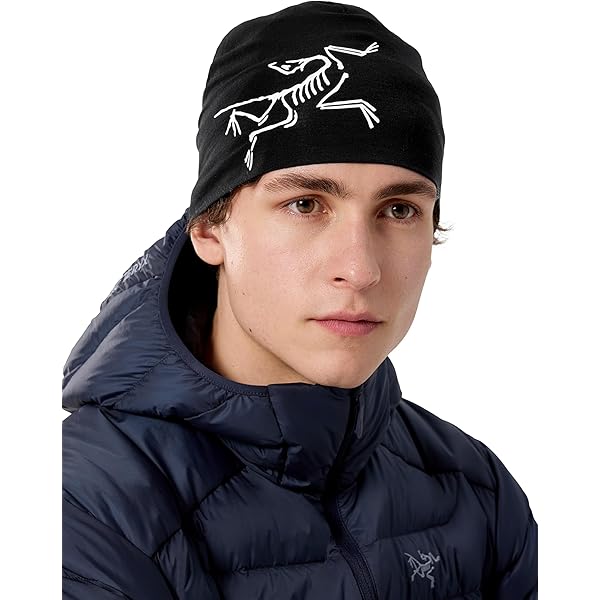 Amazon | [ARC'TERYX] Bird Head Toque Blue Tetra：Pytheas Free Size