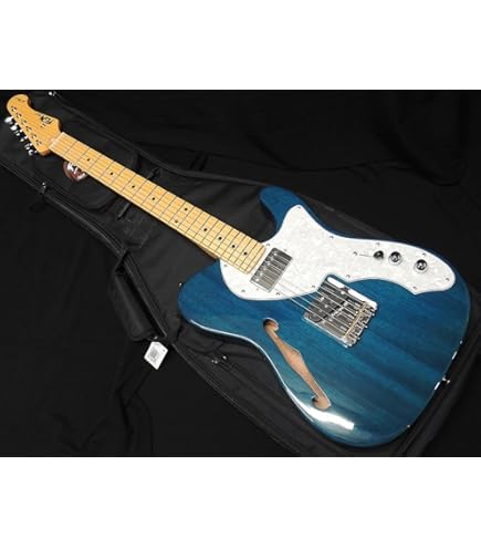 Amazon | FGN FUJIGEN NTE100MAHT SBB フジゲン Neo Classic SERIES