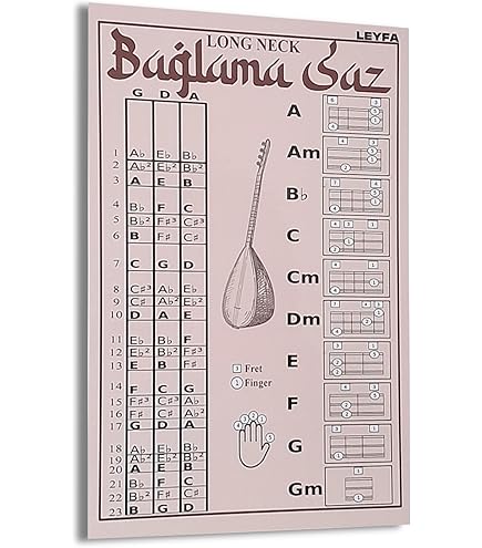 Amazon.co.jp: LEYFA Saz Baglama バグラマ弦 トルコショートネック