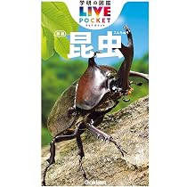 昆虫 新版 (学研の図鑑LIVEポケット 3) | 丸山 宗利, 長島 聖大, 中峰