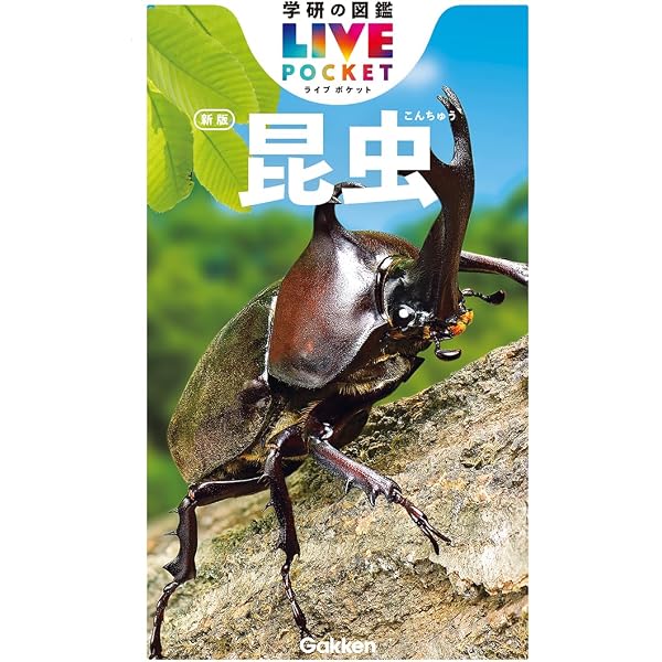 Amazon.co.jp: 昆虫 (学研の図鑑 新・ポケット版 1) : 岡島秀治: 本