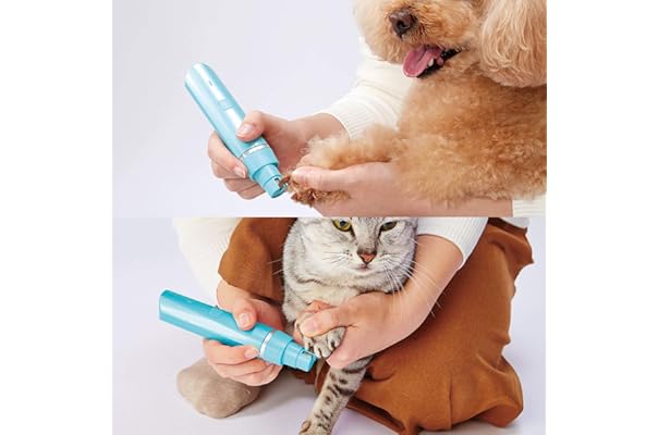 当店一番人気 9 14 Achort ペット用 在庫残僅か プロ用 足裏 耳裏 顔回り 肉球 全身用 うさぎ 猫 犬 2in1 爪切り バリカン 自宅トリミング用 その他 Labelians Fr 当店一番人気 9 14 Achort ペット用 在庫残僅か プロ用 足裏 耳裏 顔回り 肉球 全身用 うさぎ 猫 犬 2in1 爪切り バリカン 自宅トリミング用 その他 Labelians Fr