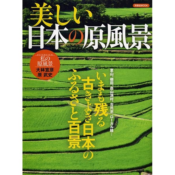 Amazon.co.jp: 日本の原風景99 : 近藤 正文: 本