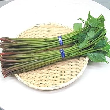 山菜塩蔵！ 在庫】 味付山菜ﾐｯｸｽ - トォータルフーズ.com 釧路店