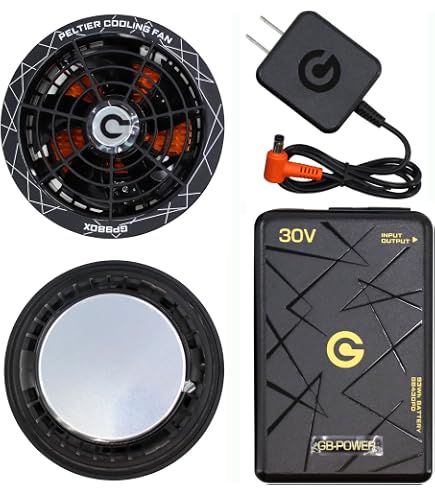 長信ジャパン ペルチェ一体型ファンセット ファン+バッテリー×2 Amazon.co.jp: 長信ジャパン GP980-BL ペルチェ一体型ファンセット