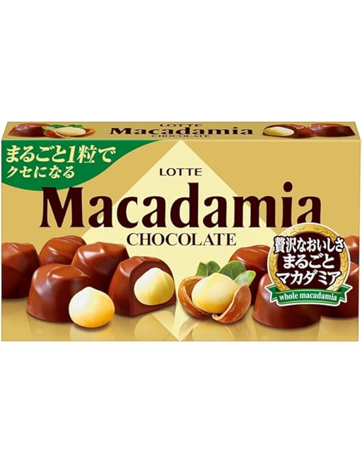 超絶お得な残り福箱【小枝箱入り】 Amazon | 森永製菓 小枝C 44本×10箱