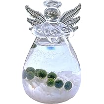 Amazon.co.jp: まりもミニ水槽(エンジェル像) まりも 6mm 10個