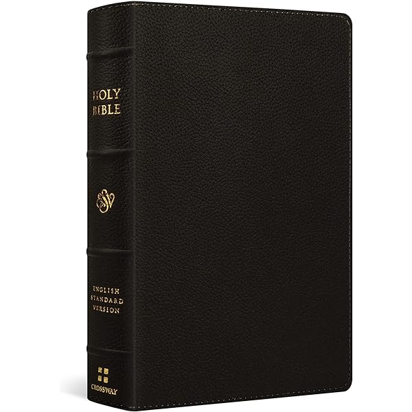 Amazon | ESV Study Bible: English Standard Version, Black