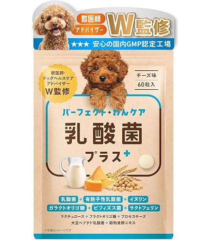 Amazon | 【獣医師監修】 犬用サプリメント 初めての腸活にも おなか