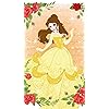 美女と野獣 Belle ディズニー - 美女と野獣 Belle QHD(540×960)壁紙 71312
