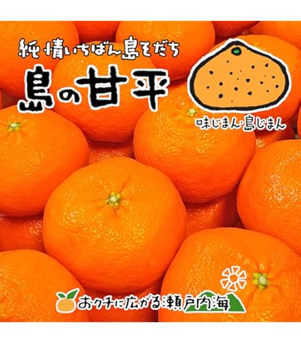 Amazon.co.jp: 希望の島 甘平 贈答用 大玉 愛媛 中島産 みかん 柑橘