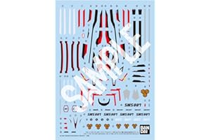 BANDAI SPIRITS(バンダイ スピリッツ) HG マクロスフロンティア VF-25F メサイアバルキリー(早乙女アルト機) 専用水転写式デカール 1/100スケール プラスチック製 色分け済みプラモデル