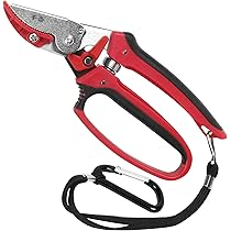 さだきち 717T8omthzL._AC_UL210_SR210,