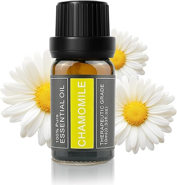 Cywinfow Essential Oil Aroma Oil 100% Natural Plant Derived Essential Oil 10ML (Standard Size, Chamomile) - 1