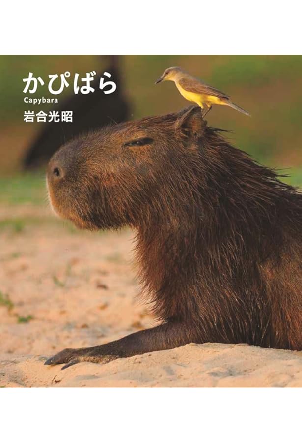 カピバラ | 渡辺 克仁 |本 | 通販 | Amazon