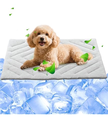 Amazon | わんわんスベラン すべり止めWAX 200ml(約14平米) | わんわん