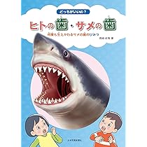 サメの歯 Amazon.co.jp: どっちがいいの? ヒトの歯・サメの歯: 何度も生えかわる