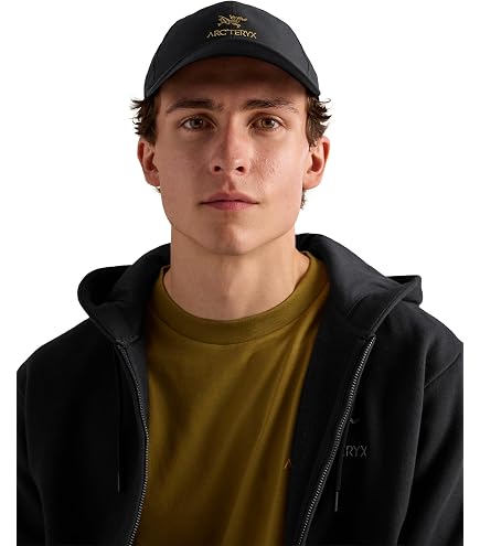 Amazon.co.jp: ARCTERYX VEILANCE (アークテリクス ヴェイランス