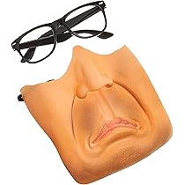 Amazon.co.jp: シャクレルプラネット コアラ BIG 40cm