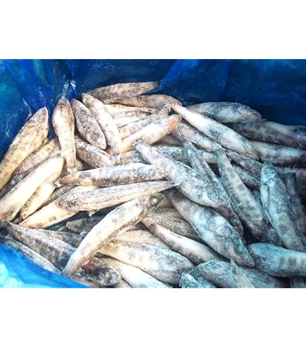めひかり Amazon.co.jp: メヒカリ(無頭・粉付)1kg チャック付き袋入り : 食品