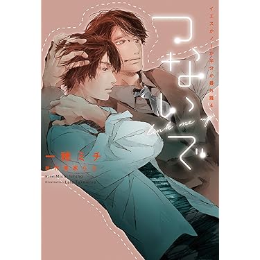 イエスかノーか半分か 11冊セット つないで イエスかノーか半分か番外篇4 (ディアプラス文庫) | 一穂