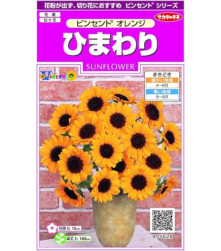 Amazon | サカタのタネ 実咲花5627 ひまわり ビンセント クリア