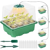 大きめ　発芽苗　30本 717frkx1EgL._AC_UL210_SR210,