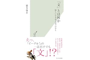 「文」とは何か～愉しい日本語文法のはなし～ (光文社新書)