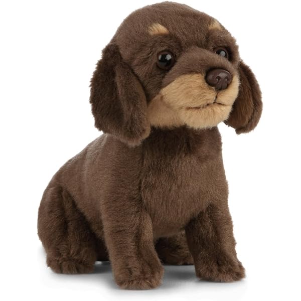 soft toy dachshund