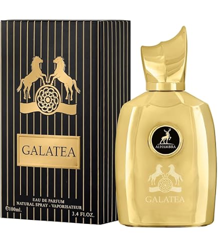 Amazon.co.jp: Infini Oud by Maison Alhambra ユニ - 3.4 g EDP