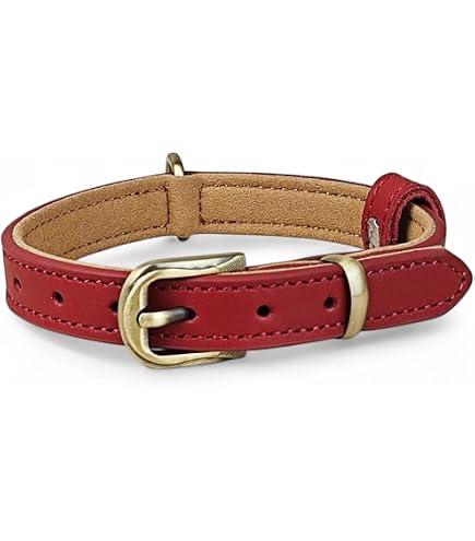 Amazon | ドイツ製 高級本革首輪 Das Lederband レダーバンド