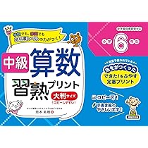 中級算数習熟プリント 小学4年生 大判サイズ | 図書啓展 |本 | 通販