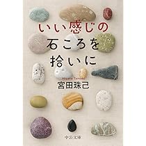 綺麗な石ころ 717pkX2hVRL._AC_UL210_SR210,