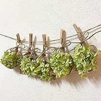 717rFJim7QL._AC_UL210_SR210,