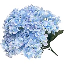 717rld9ozvL._AC_UL210_SR210,