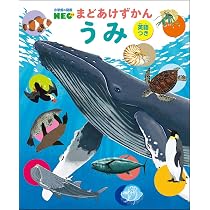 Amazon.co.jp: うみ(英語つき) (小学館の図鑑NEO) : きのした ちひろ