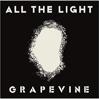 Amazon.co.jp: 愚かな者の語ること(アナログ盤LPレコード・ジャケット