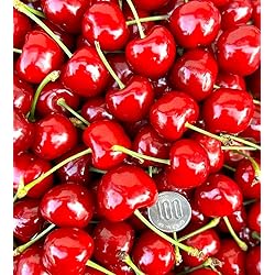 Amazon.co.jp: アメリカンチェリー 約8kg 産地箱 大粒9.5 Row｜空輸