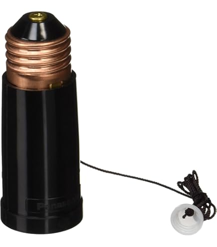Amazon.co.jp: 磁器変換ソケットアダプター E－39－26 : DIY