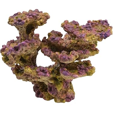 Amazon.co.jp 人気ギフトランキング: 水槽用サンゴ で、ギフトの設定を