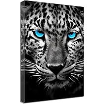 717uVRMPOdL._AC_UL210_SR210,