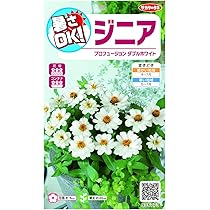 Amazon.co.jp: サカタのタネ ジニア プロフュージョンダブルホワイトの