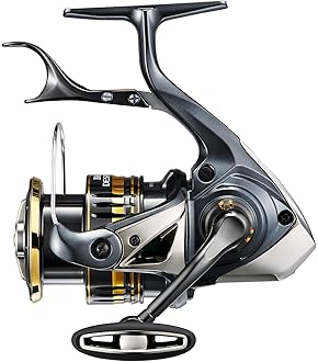 Amazon | シマノ(SHIMANO) 磯竿 20 ライアーム 1号 500 | シマノ