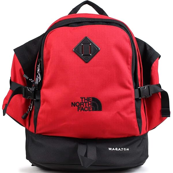 Amazon.co.jp: ノースフェイス THE NORTH FACE リュック バック