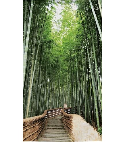 Amazon｜マキク（MAKIKU） のれん 森 北欧 風景 グリーン おしゃれ