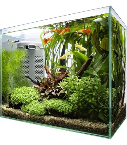Amazon | コトブキ工芸 水槽セット レグラスF‐2030 フィルター 
