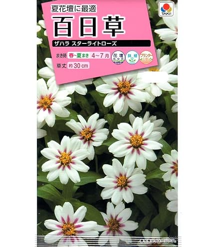 Amazon | タキイ種苗 百日草 カクタス咲混合 | 花