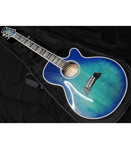タカミネ　エレアコ Takamine タカミネ TSP10CS エレアコ アコースティックギター 630mm