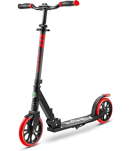 Amazon.co.jp: FRENZY(フレンジー) キックボード FR205DB Titanium