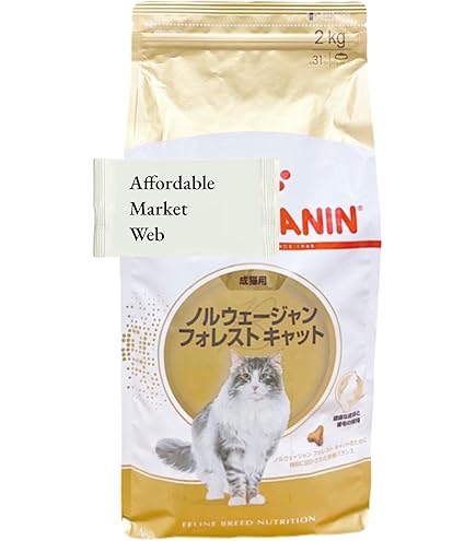  CANIN ノルウェージャンフォレストキャット 2kg×２袋 Amazon | ロイヤルカナン FBN ノルウェージャンフォレストキャット 成